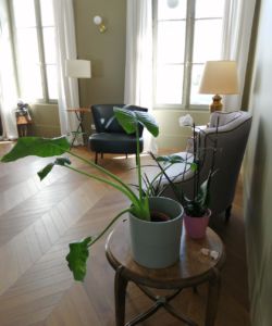 Le salon vert Le salon vert